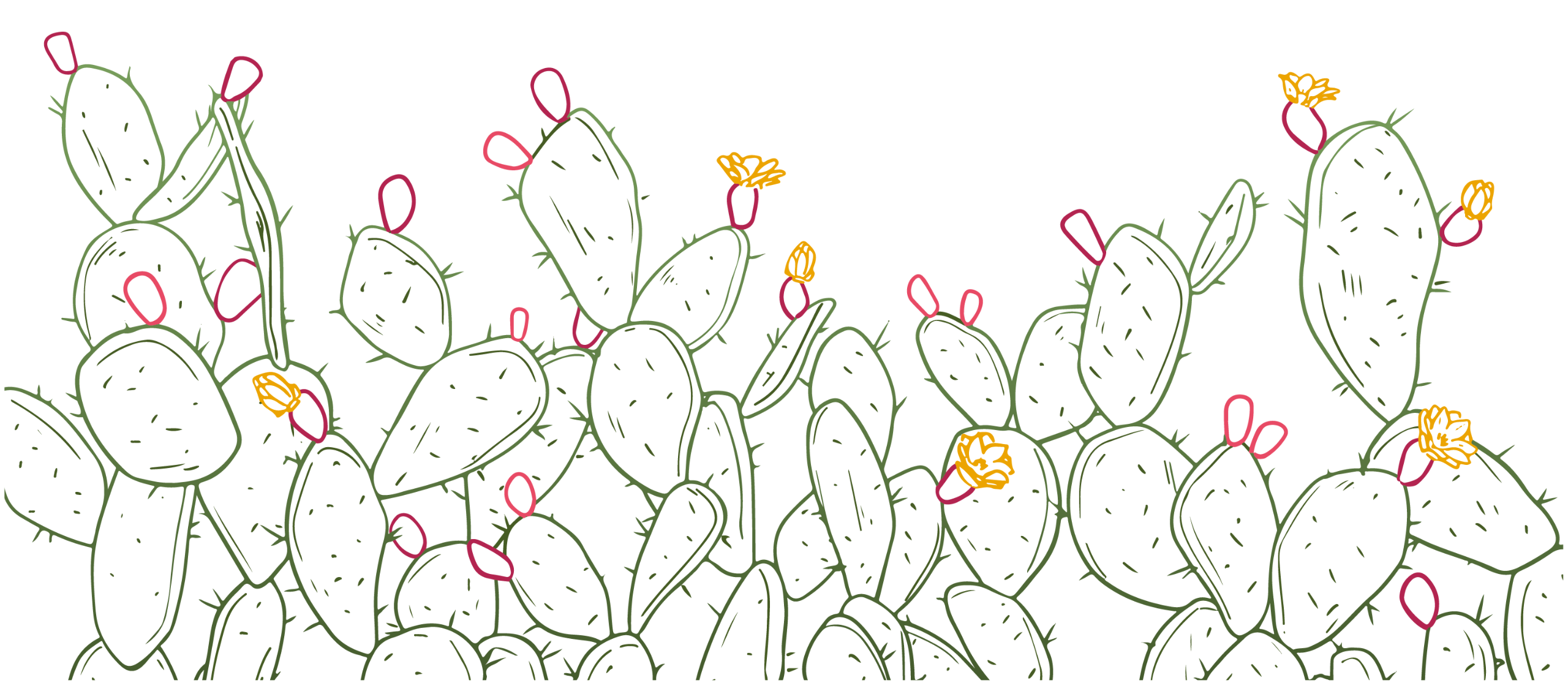 Illustration A detailed illustration of a dense cactus border, a cactus-themed background with playful pink and yellow accents.